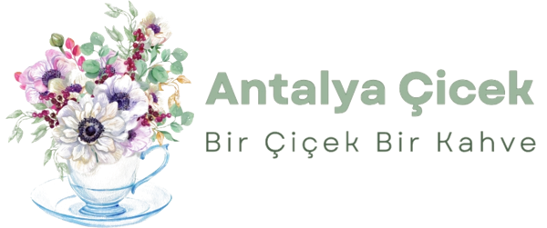 Antalya Çiçekçi - Antalya Çicek